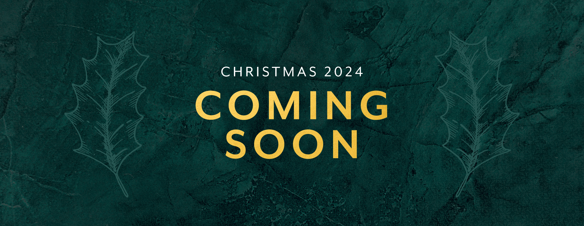 A Magical Christmas 2024 in Welwyn Garden City The Red Lion